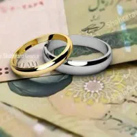 ضامن وام میشم