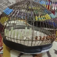 قفس|لوازم جانبی حیوانات|اهواز, بیست متری شهرداری|دیوار