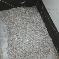 گوش ماهی