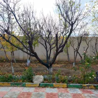 ( فرصت خرید طلایی ) ۱۰۰۰ متر ویلا ماهدشت|فروش خانه و ویلا|محمدشهر, محمدشهر|دیوار