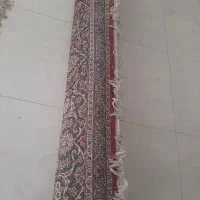 فرش تمام نخ ۱۲ متری|فرش|کرمانشاه, |دیوار
