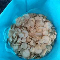 موسیر خشک شده