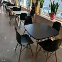 صندلی پلاستیکی باغی فیروزه ۷۶۶/کرج گلشهر|میز و صندلی غذاخوری|کرج, گلشهر|دیوار