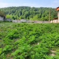 زمینبه مساحت ۴۱۰متر|فروش زمین و ملک کلنگی|آلاشت, |دیوار