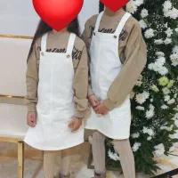 بیلردامن لی