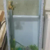 اکواریوم