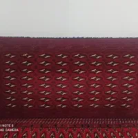 دو جفت پشتی