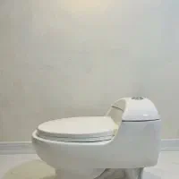 توالت فرنگی در حد نو مارک سانی