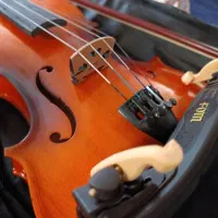 ویالن|ویولن|یاسوج, |دیوار