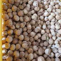 انجیر بش|خوردنی و آشامیدنی|شیراز, شهرک مهرگان|دیوار