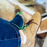 کتونی نیوبالانس میومیو (رنگ ترند سال) زیرقیمت عمده