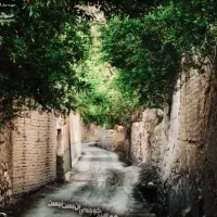 خواندن قرآن برای اموات  واز در گذشتگان