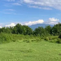 زمین مسکونی