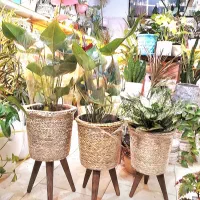 پایه گلدان حصیری لوکس مناسب دکور مدرن و سنتی