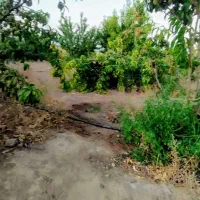 باغ ویلایی|فروش خانه و ویلا|صوفیان, |دیوار