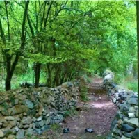 طبیعت گردی
