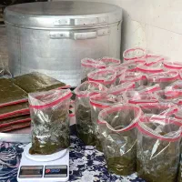 سبزی معطر وخوش طعم خوزستانی فقط100تومن|خوردنی و آشامیدنی|شاهینشهر, دهخدا|دیوار