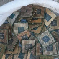 سیپیو سوخته