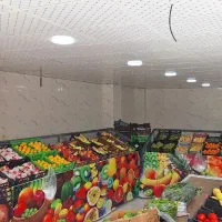 میز برای میوه فروشی|فروشگاه و مغازه|مسجد سلیمان, |دیوار