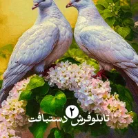 تابلوفرش دستبافت «دوکبوتر عاشق»|تابلو فرش|تهران, بازار|دیوار