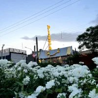 استخدام در مجموعه قصر غذا