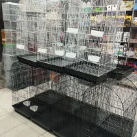 قفس پرنده ـ کاسکو
