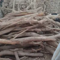 چوب خشک|مجسمه، تندیس، ماکت|زهک, |دیوار