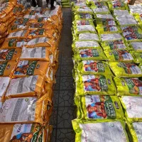 کود NPKS کود کامل