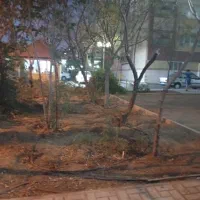 استخدام نگهبان شب