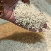 برنج وزعفران