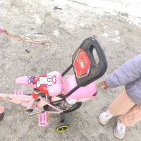 دوچرخه دخترانه سایز ۱۲