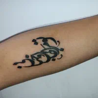 تتو بانوان در فومن . همه سبکها