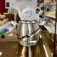 کتری قوری رو گازی استیل ایرانی