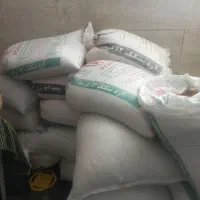 گندم‌دیم اراک مناسب برای ارد