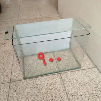 آکواریوم کوچک و بزرگ در بیدستان|ماهی|محمدیه-قزوین, |دیوار