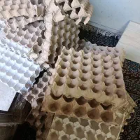 تعدادی شانه تخم مرغ
