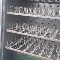 دستگاه جوجه کشی شتر مرغ