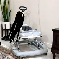 روروئک دلیجان