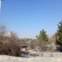 بیده یونجه و علف