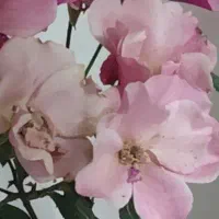 دعوت به همکاری بازنشسته آقا