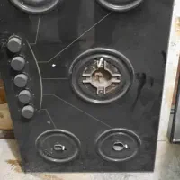 سینگ دوقلو سالم