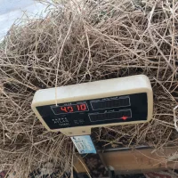 یونجا|حیوانات مزرعه|فیرورق, |دیوار