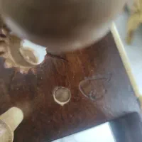 ساز تار|سازهای سنتی|تهران, دژکام|دیوار