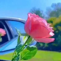 راهنمایی کنین