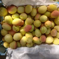 خوردنی