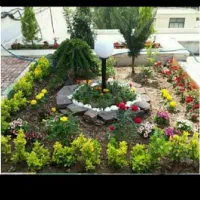 باغبانی و سمپاشی زدن علف های هرز گل درختکاری|خدمات باغبانی و درختکاری|مشهد, هنرستان|دیوار