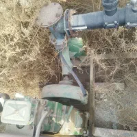 مارگو 10اسب زیرخاکی