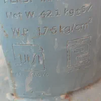 کپسول  بزرگ