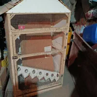 قفس|لوازم جانبی حیوانات|قزوین, |دیوار