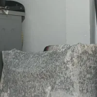 فرش سالم بخاطر اثاث کشی دارم جا ندارم